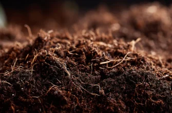 Купить грунт растительный в Минске с доставкой