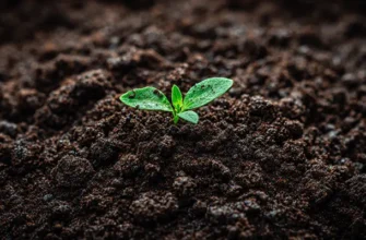 Плодородный черный грунт купить с доставкой в Минске и области